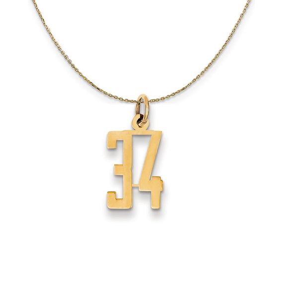 14k Yellow Gold, Alumni Small Elongated Number 34 Necklace...